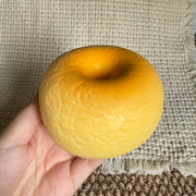 Bagel Slow Rise Squishy