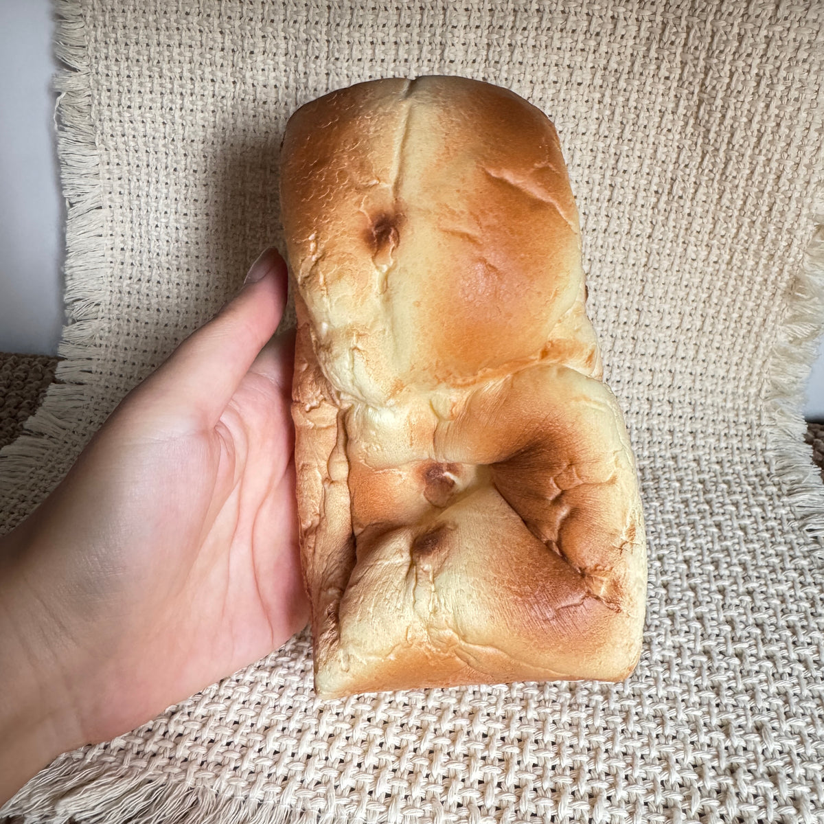 Mido Raisin Bread Slow Rise Squishy