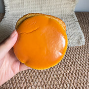 Hamburger Slow Rise Squishy