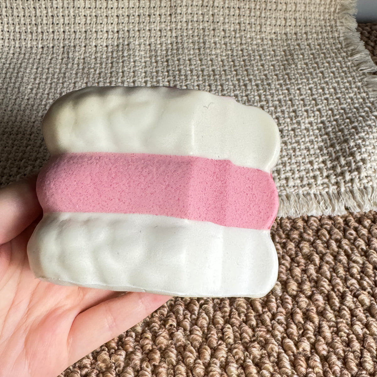 Piggy Cheese Slow Rise Squishy