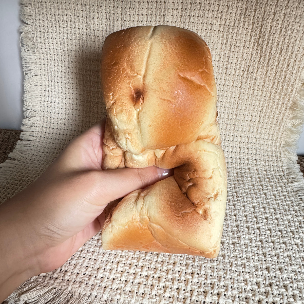 Mido Raisin Bread Slow Rise Squishy
