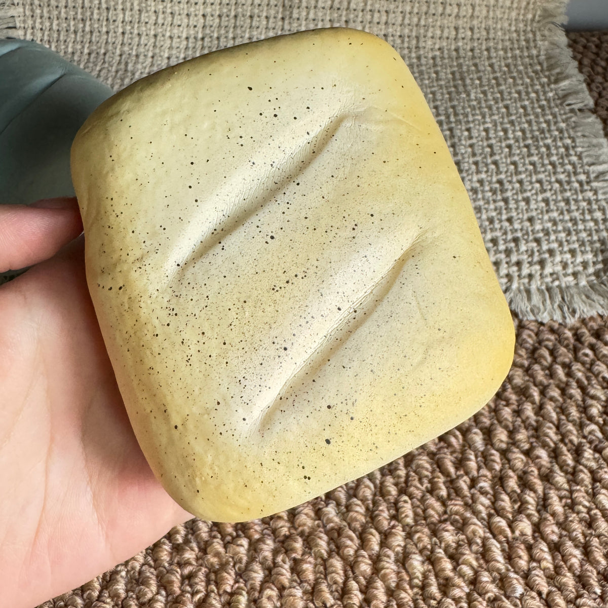 Bread Slow Rise Squishy