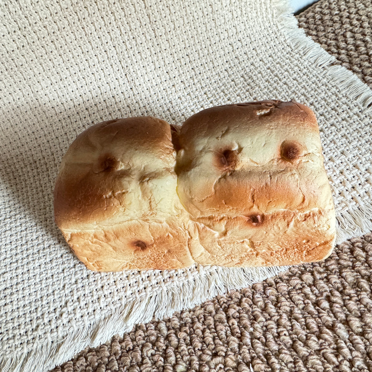 Mido Raisin Bread Slow Rise Squishy
