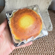 Basque Cheesecake Slow Rise Squishy