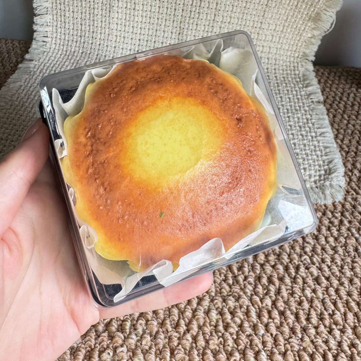 Basque Cheesecake Slow Rise Squishy