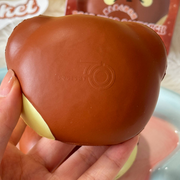 Chocolate Bear Slow Rise Squishy