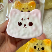 Cat Toast Slow Rise Squishy