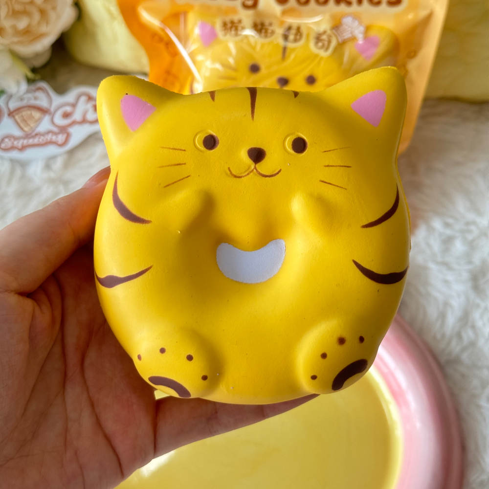 Cat Bagel Slow Rise Squishy