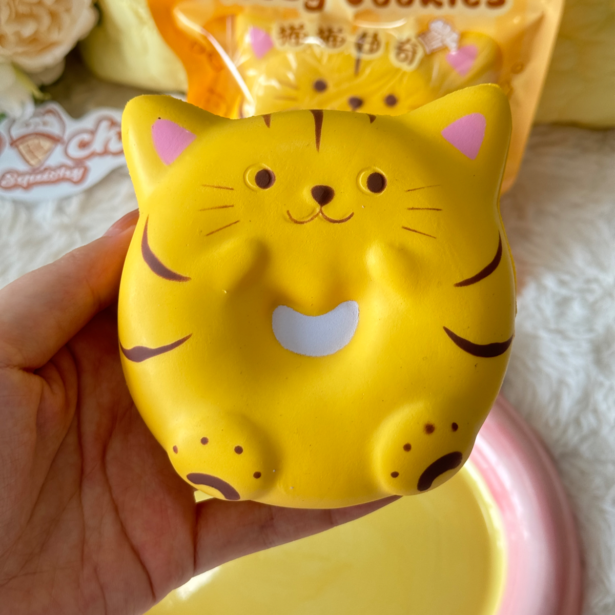 Cat Bagel Slow Rise Squishy