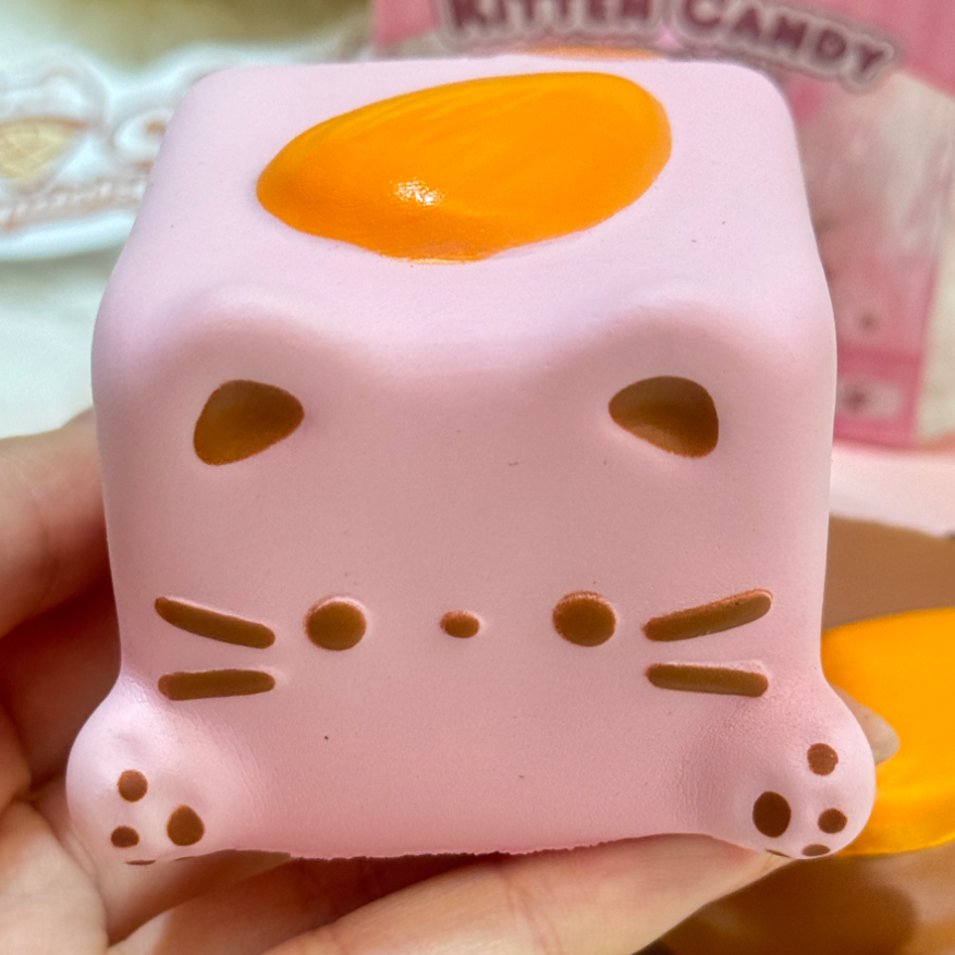 Kitten Sugar Cube Slow Rise Squishy