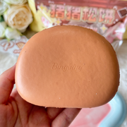 Chocolate Piggy Slow Rise Squishy