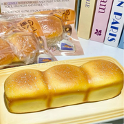 Bread Slow Rise Squishy