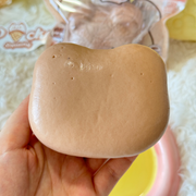 Teddy Bear Slow Rise Squishy