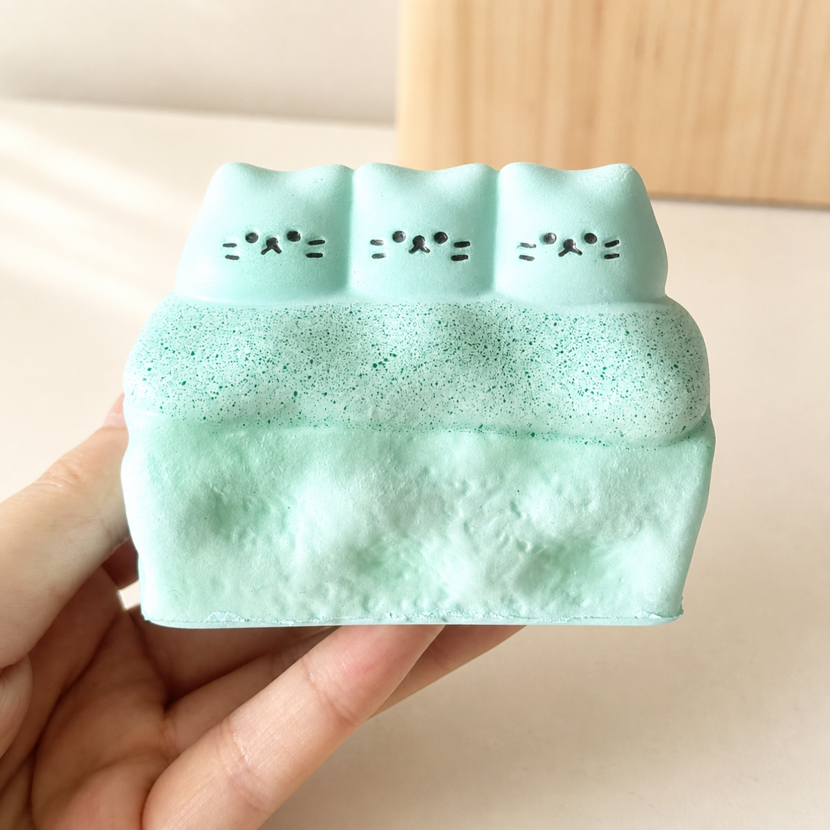 Cat Soy Milk Dessert Box