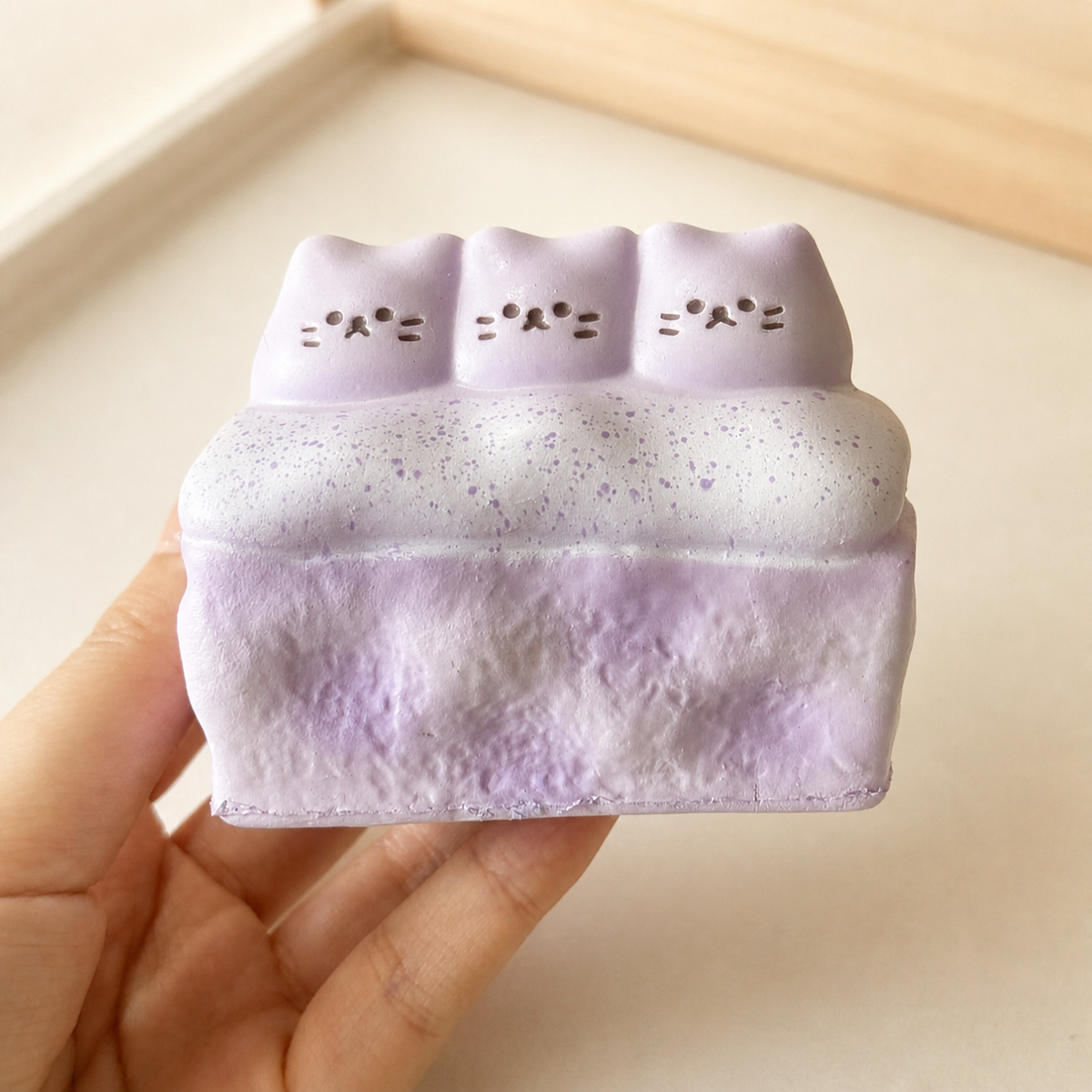 Cat Soy Milk Dessert Box