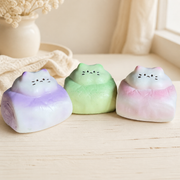 Kitten Bread Slow Rise Squishy