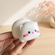 Crunchy Floppy Cat Handmade Stress Ball