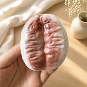 Crunchy Small Bread Squishy